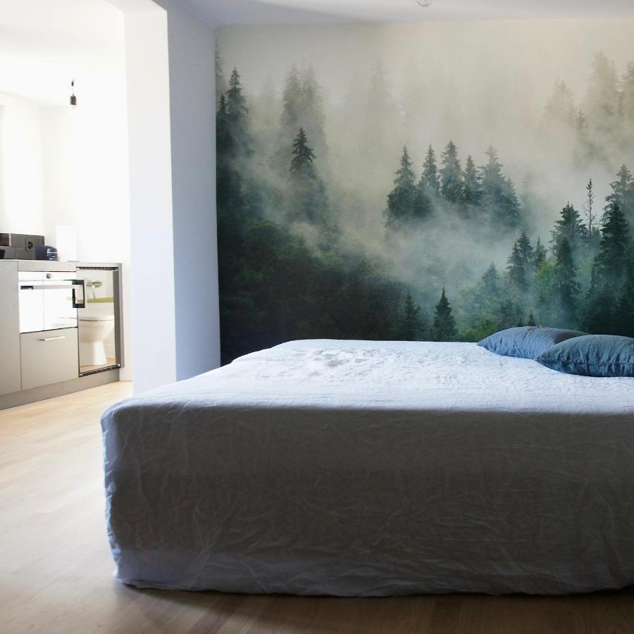 Ni Fravi Holiday Apartments, Interlaken West Εξωτερικό φωτογραφία